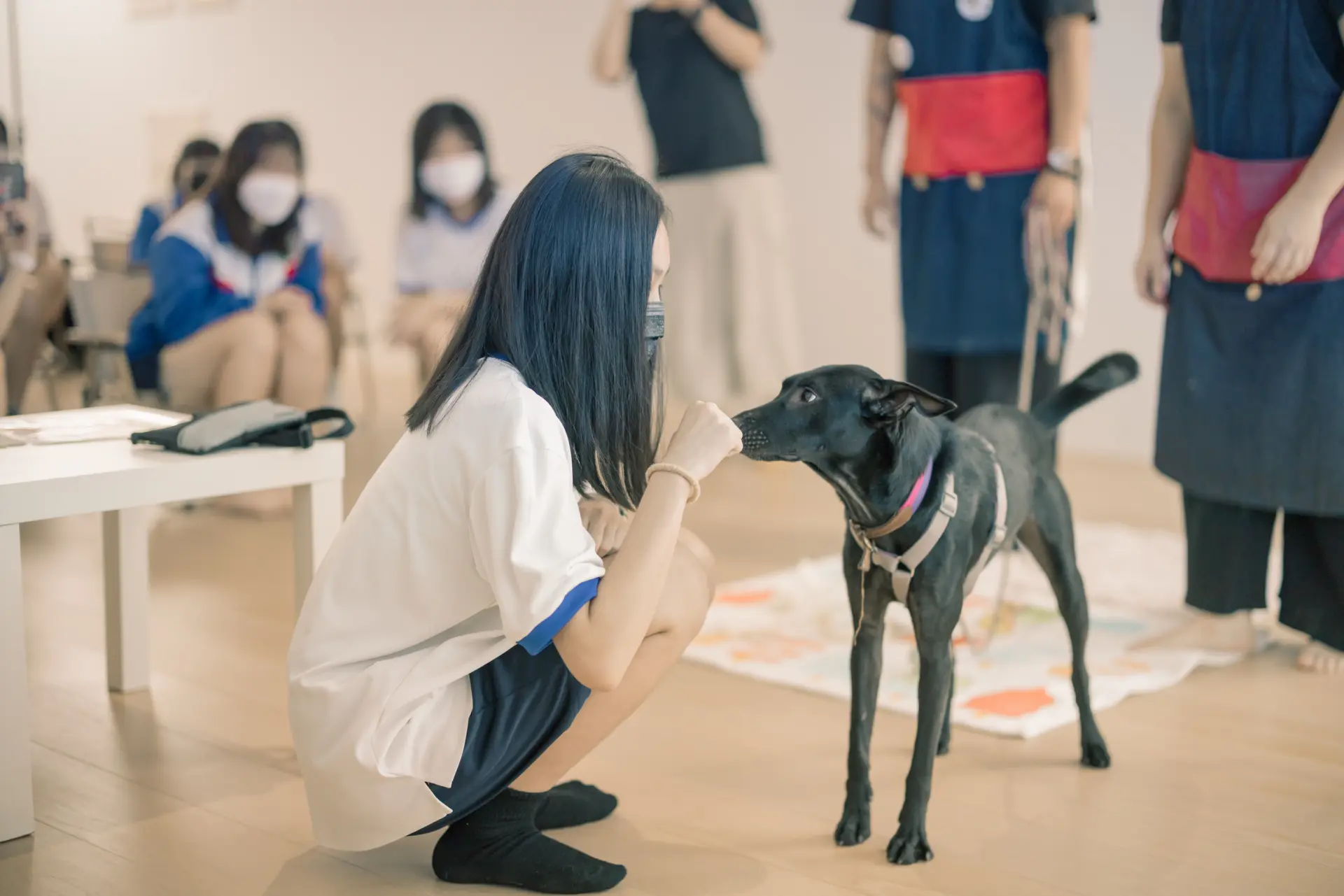 01 07無尾香蕉