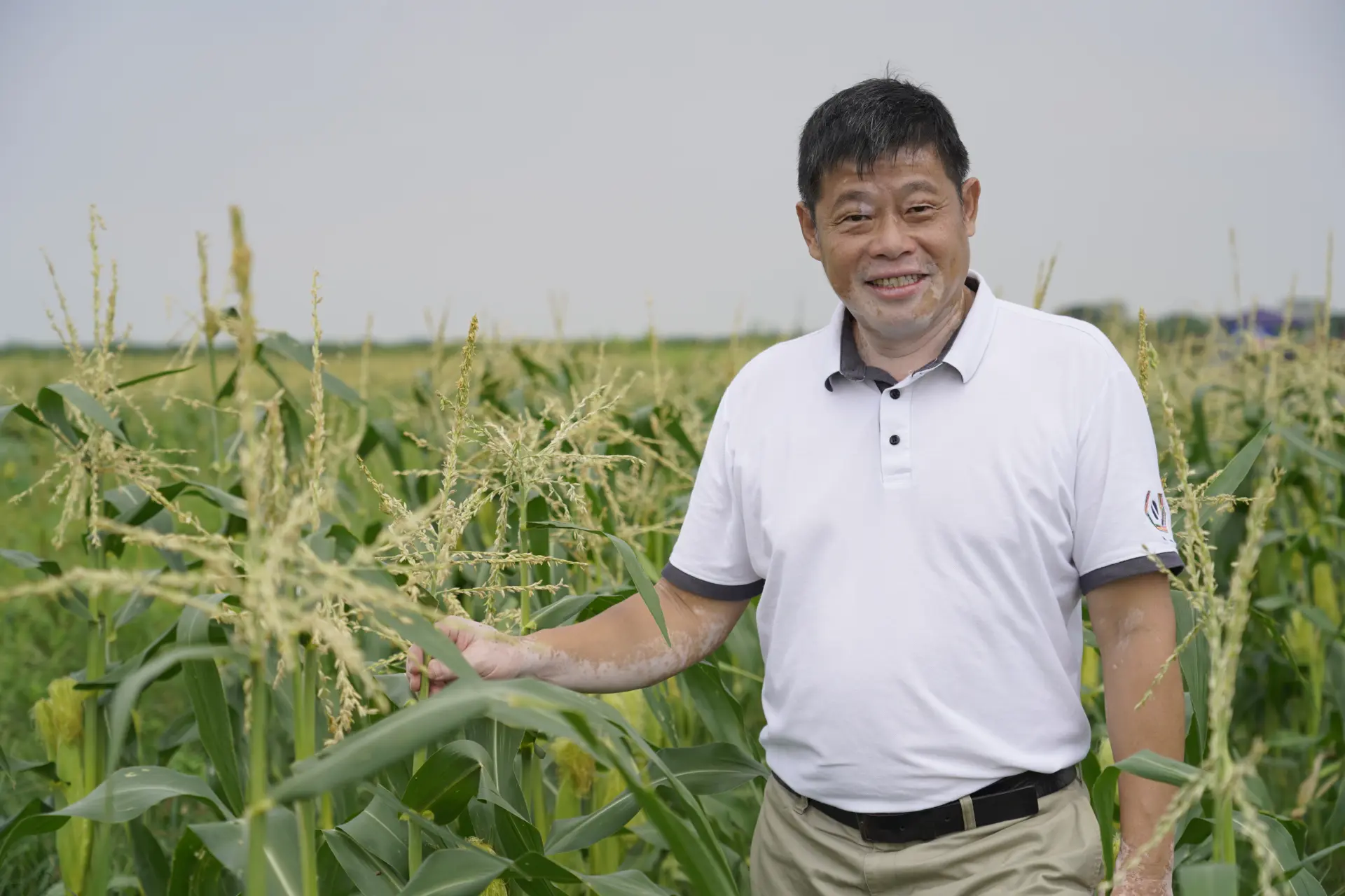 æ´å®è°·ææ